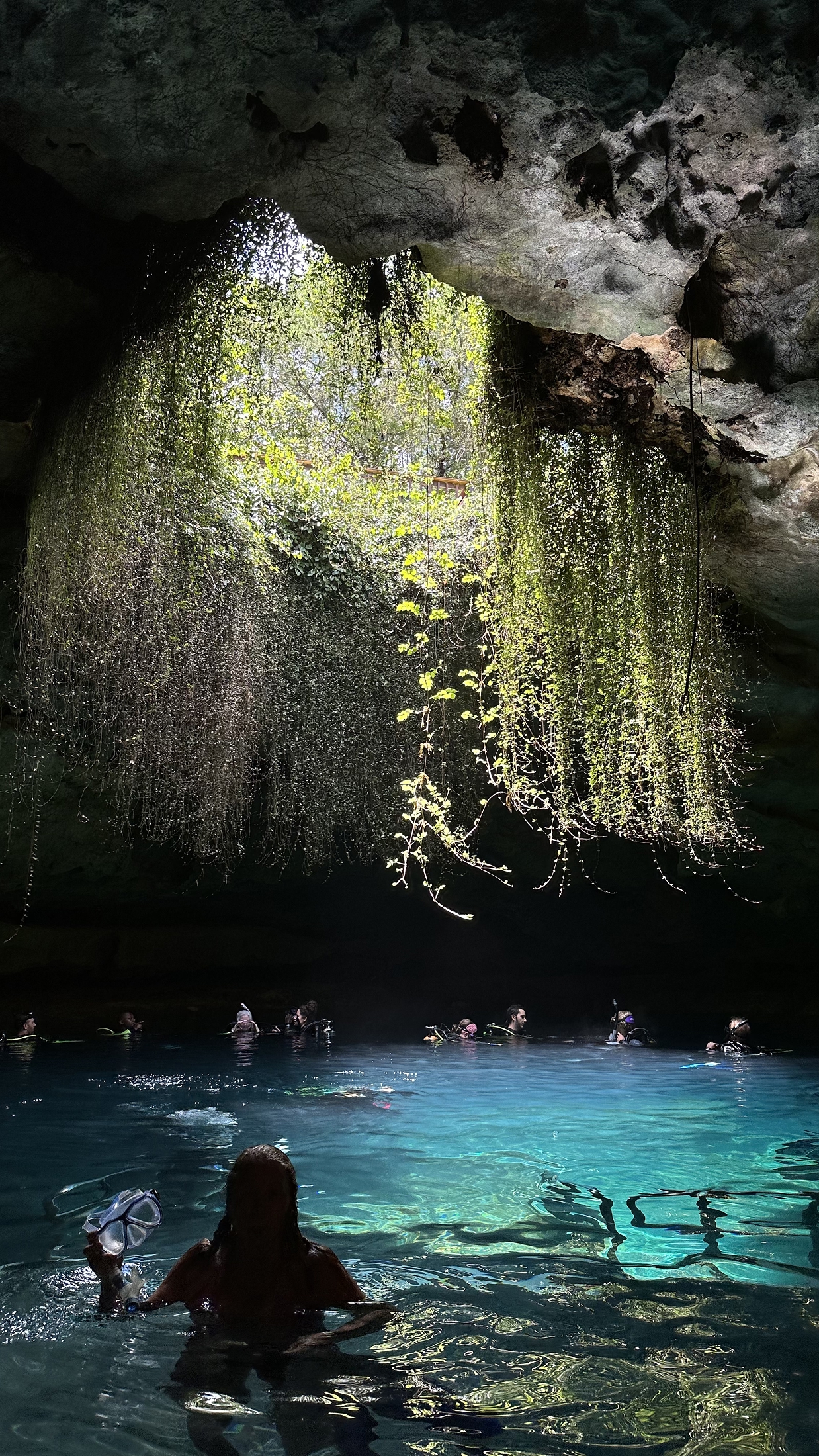 Swimmers and divers in the clear, blue water of Devil’s Den, a prehistoric underground spring near Williston, lit by natural sunlight streaming through a circular cave opening draped with trailing vines.